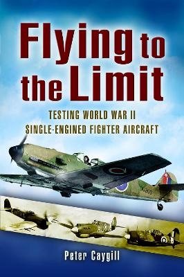 Flying to the Limit - Peter Caygil