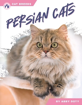 Persian Cats - Abby Doty