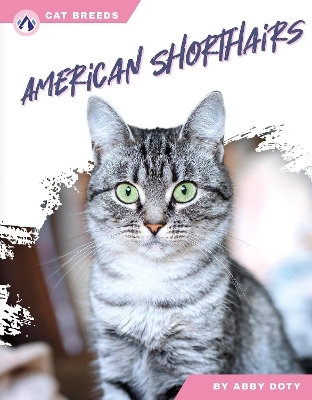 American Shorthairs - Abby Doty