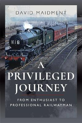 A Privileged Journey - David Maidment