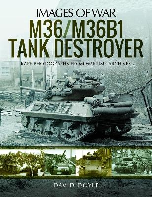 M36/M36B1 Tank Destroyer - David Doyle