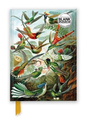 Ernst Haeckel: Hummingbirds (Foiled Blank Journal) - 