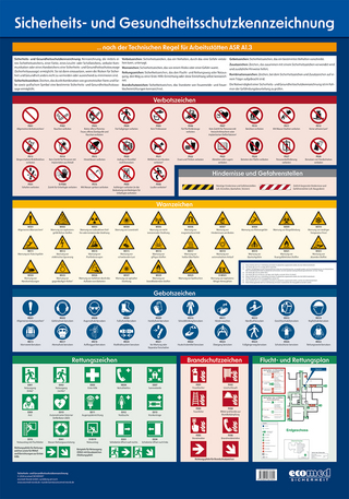 Wandtafel Sicherheits- und Gesundheitsschutzkennzeichnung - 