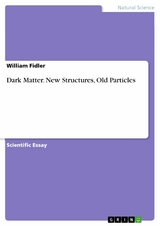 Dark Matter. New Structures, Old Particles -  William Fidler