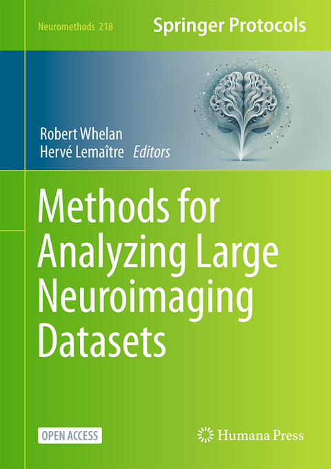 Methods for Analyzing Large Neuroimaging Datasets - 