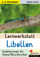 Lernwerkstatt Libellen - Stefan Lamm