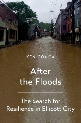 After the Floods - Ken Conca