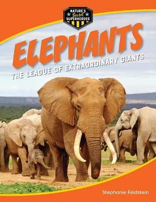 Elephants - Stephanie Feldstein