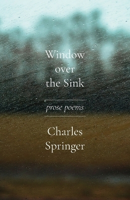 Window over the Sink - Charles Springer