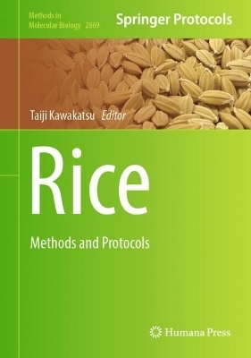 Rice - 