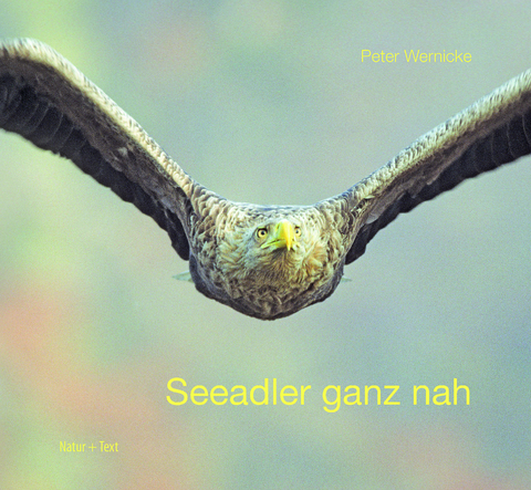 Seeadler ganz nah - Peter Wernicke