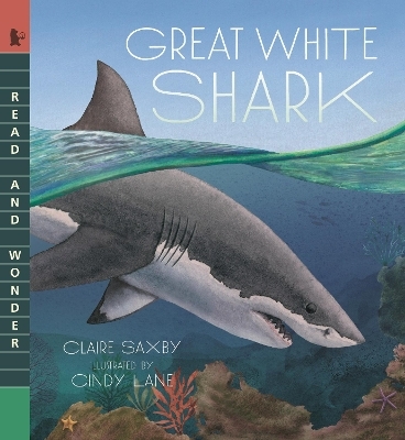 Great White Shark - Claire Saxby