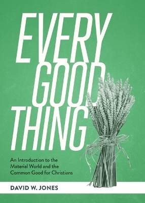 Every Good Thing - David W Jones