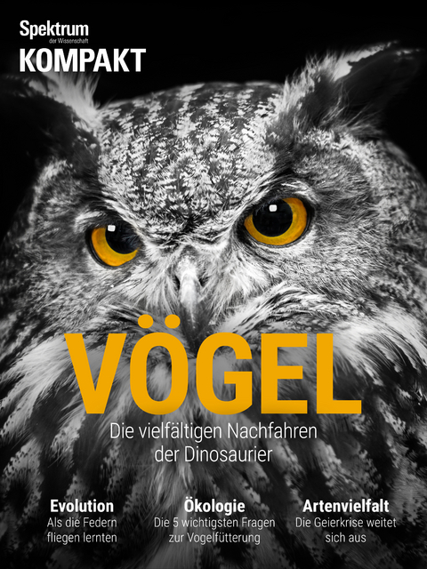 Spektrum Kompakt - Vögel