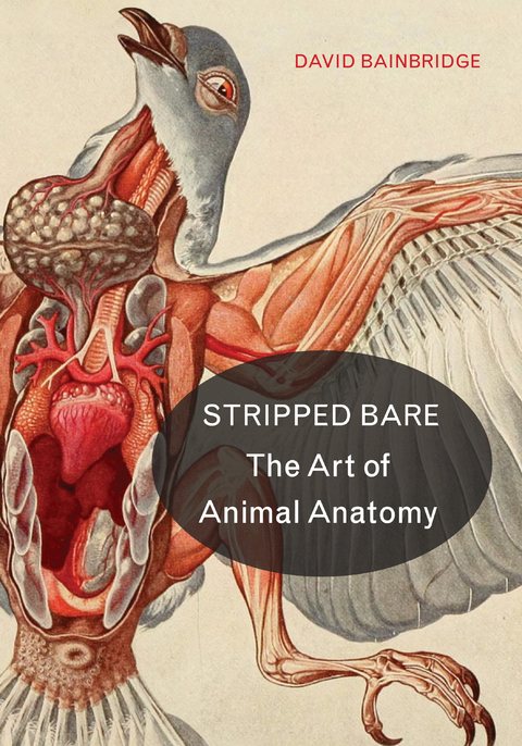 Stripped Bare -  David Bainbridge