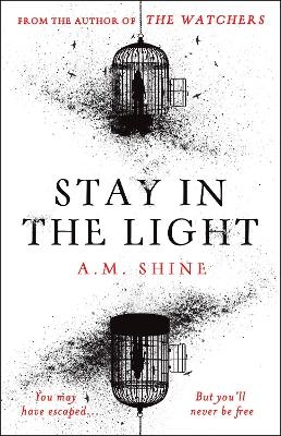 Stay in the Light - A.M. Shine