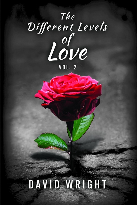 The Different Levels of Love, Volume 2 - David Wright