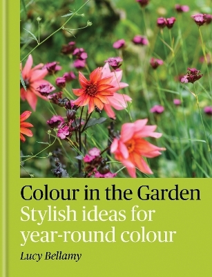 Colour in the Garden - Lucy Bellamy