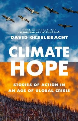 Climate Hope - David Geselbracht