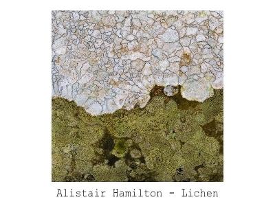 Lichen - Alistair Hamilton