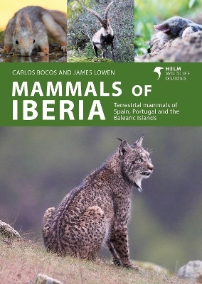 Mammals of Iberia - Carlos Bocos Gonzalez, James Lowen