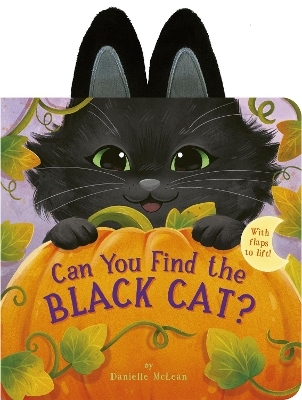 Can You Find the Black Cat? - Danielle McLean