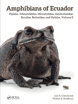 Amphibians of Ecuador - Luis A. Coloma, William E. Duellman