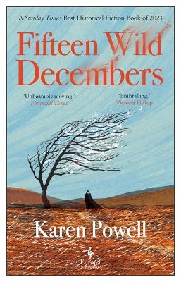 Fifteen Wild Decembers - Karen Powell