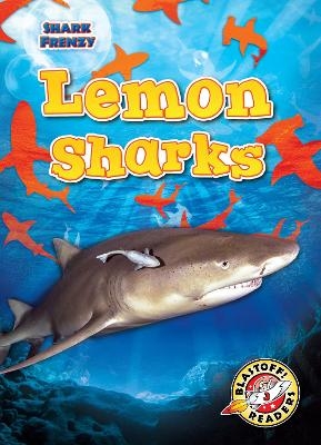 Lemon Sharks - Rebecca Pettiford