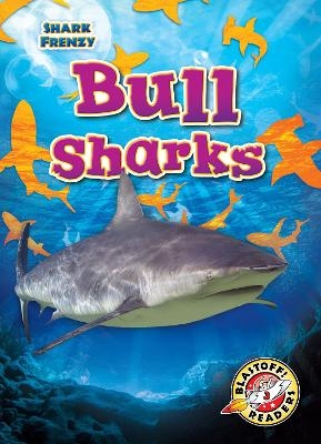 Bull Sharks - Rebecca Pettiford