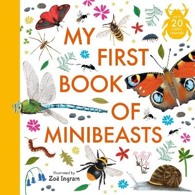 My First Book of Minibeasts -  Anonymous