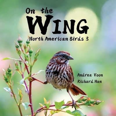 On the Wing - North American Birds 3 - Andrea Voon