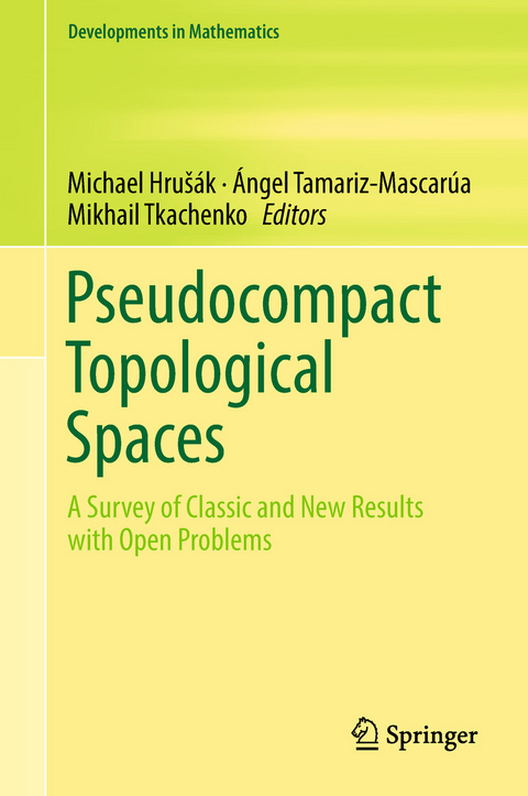 Pseudocompact Topological Spaces - 