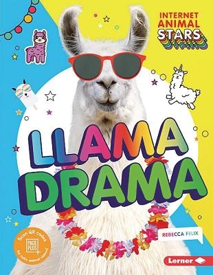 Llama Drama - Rebecca Felix