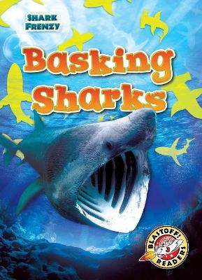 Basking Sharks - Rebecca Pettiford