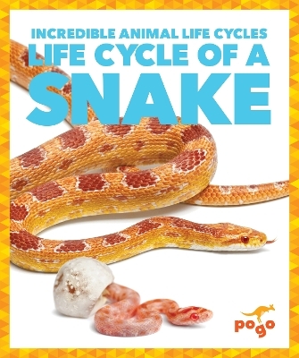 Life Cycle of a Snake - Karen Latchana Kenney