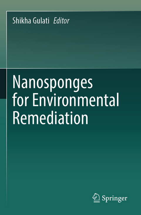 Nanosponges for Environmental Remediation - 