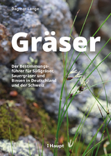 Gräser - Dagmar Lange