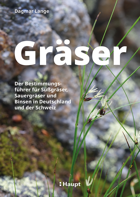 Gräser - Dagmar Lange