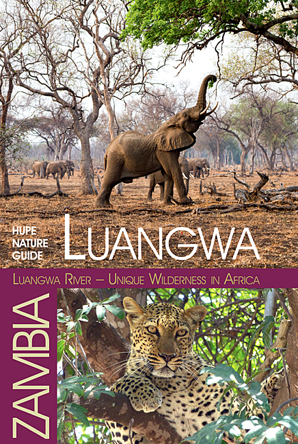 Luangwa River – Unique Wilderness in Africa - Ilona Hupe