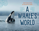 A Whale's World - Nicholas Read