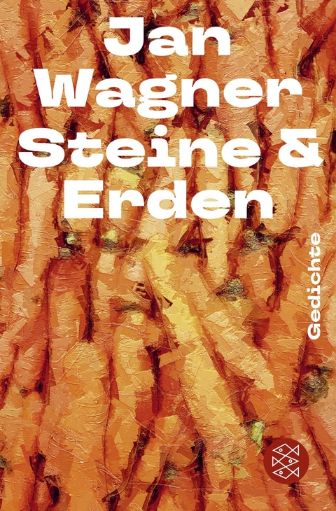 Steine & Erden - Jan Wagner