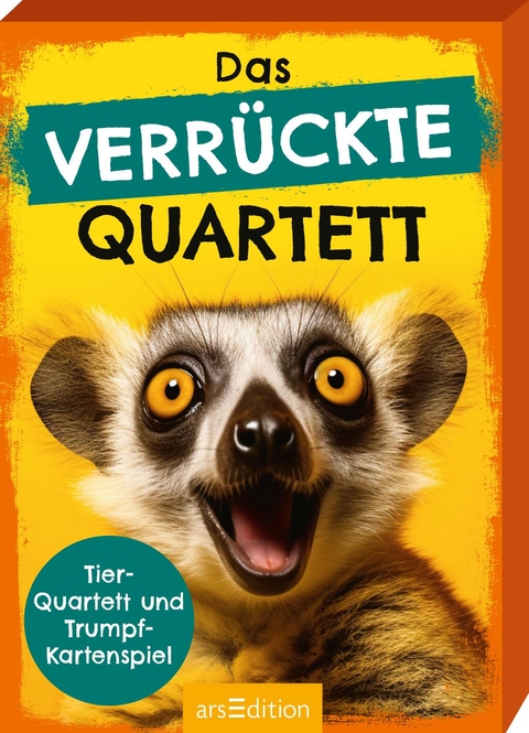 Das verrückte Quartett - Julia Buck