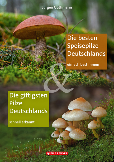 Die besten Speisepilze & Die giftigsten Pilze Deutschlands - Jürgen Guthmann