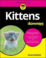 Kittens For Dummies - Rainbolt, Dusty