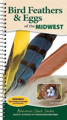 Bird Feathers & Eggs of the Midwest - Stan Tekiela