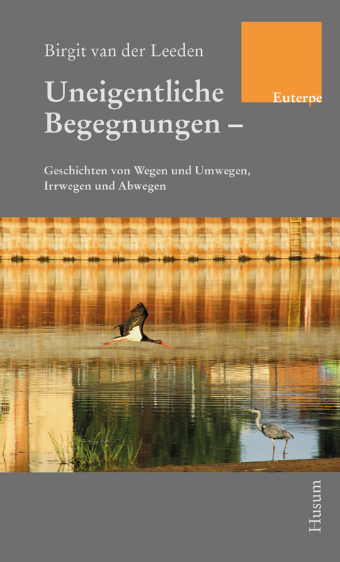 Uneigentliche Begegnungen - Birgit van der Leeden