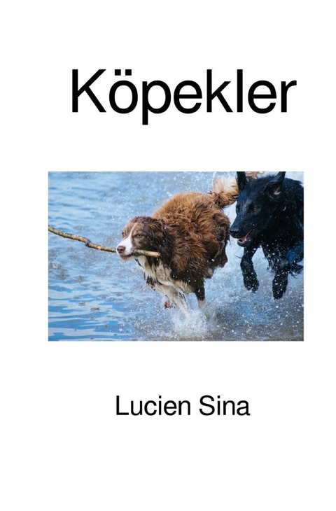 Köpekler - Lucien Sina