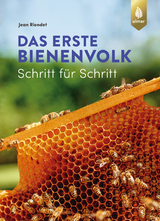 Das erste Bienenvolk – Schritt für Schritt - Riondet, Jean