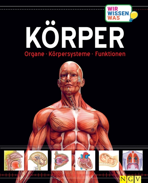 Körper